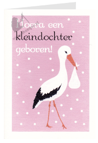 kaartje